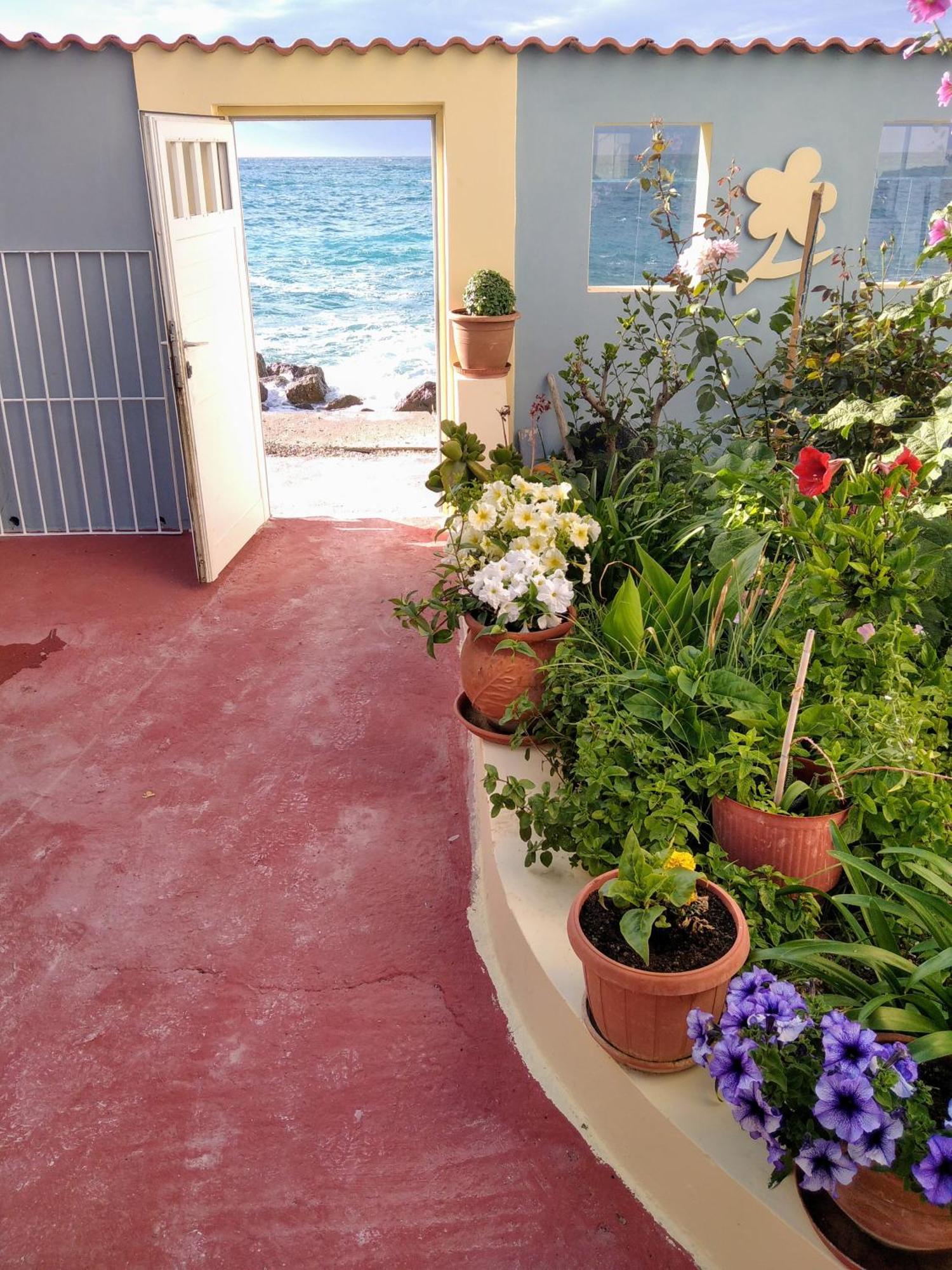 House Next To The Sea Side Apartment แดร์เวนี ภายนอก รูปภาพ